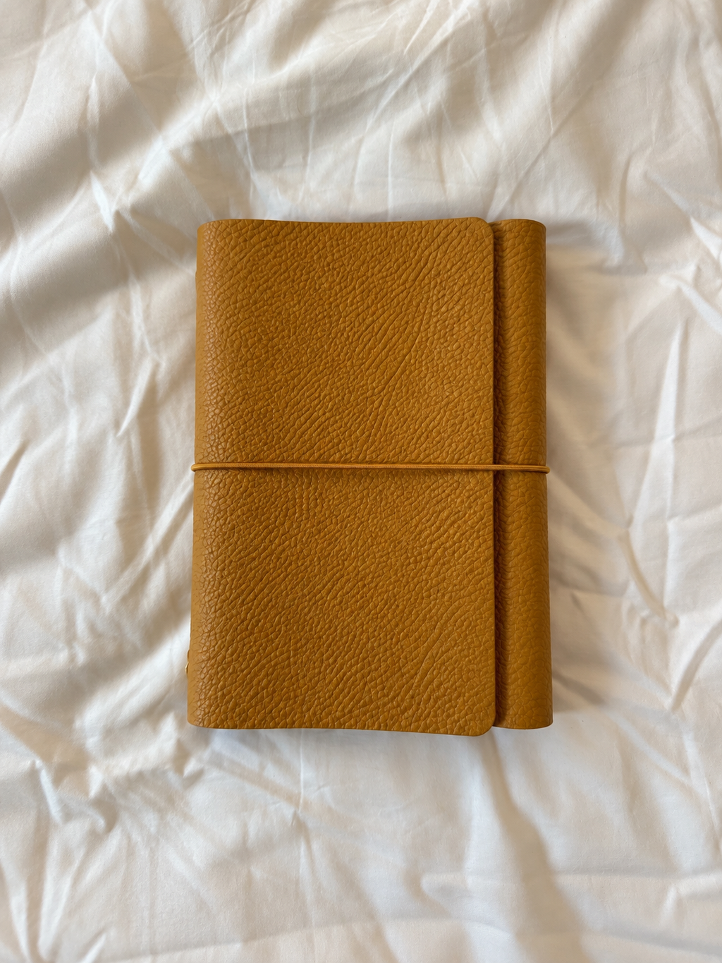 Le carnet - Moutarde