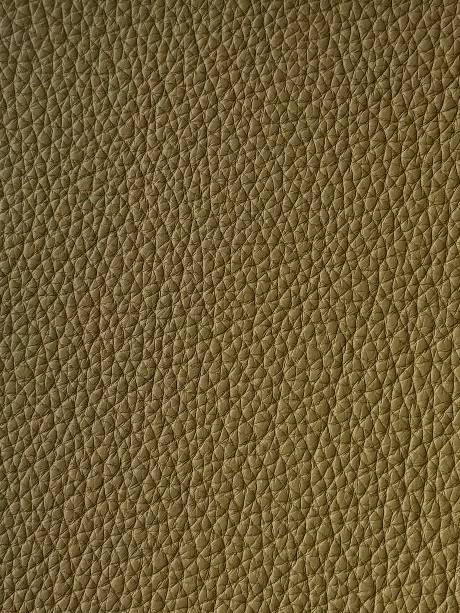 Le carnet - Kaki
